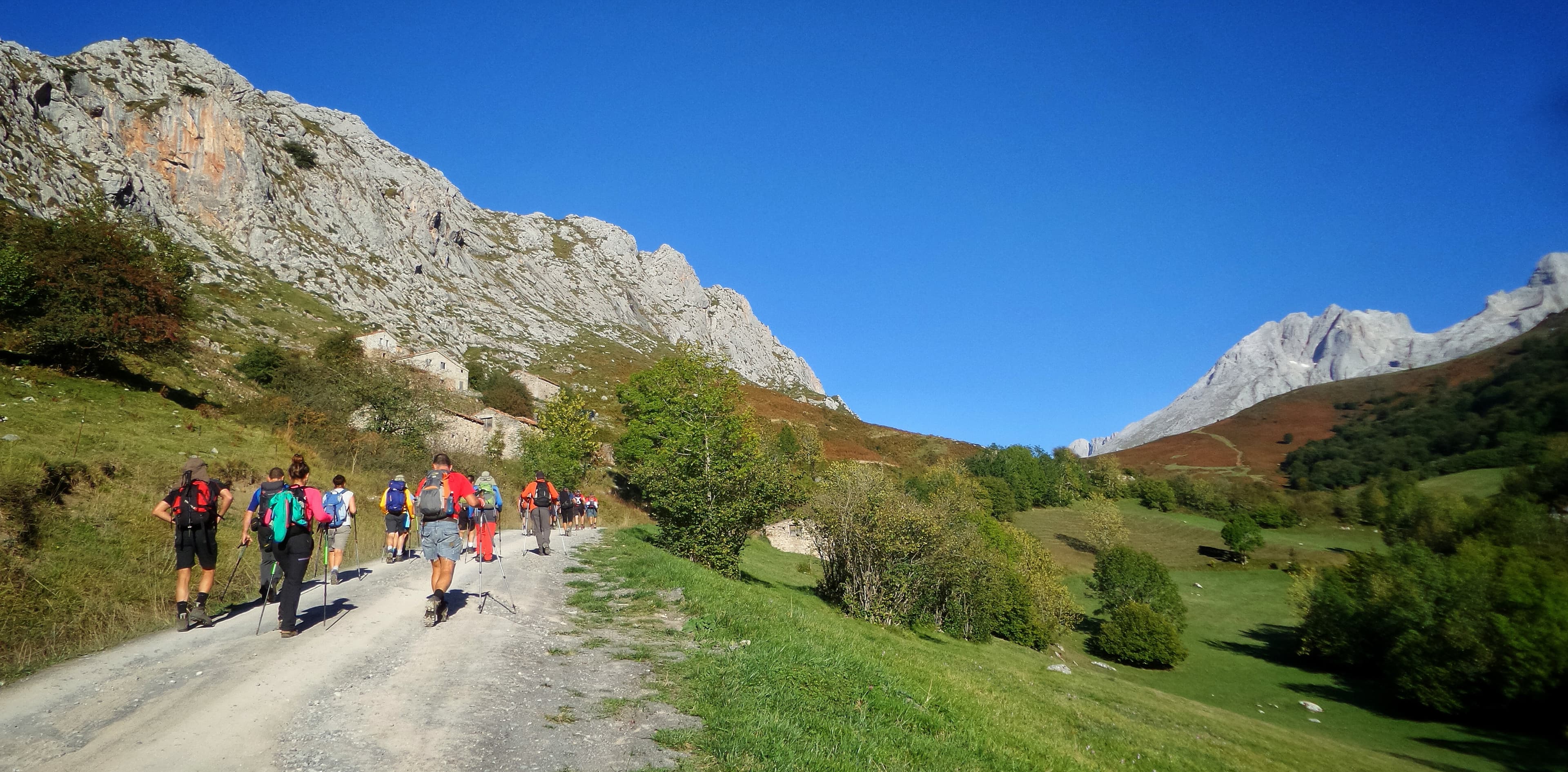 Hikers walking along a trail
