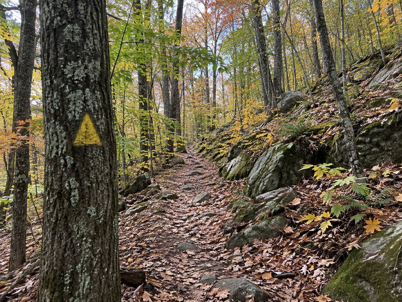 How to Section-Hike Massachusetts’ Midstate Trail: 16 Official Outings
