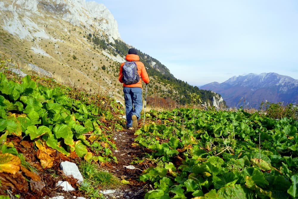 7 Hiking Adventures in the Balkans: Trails Through Europe's Wild Peninsula