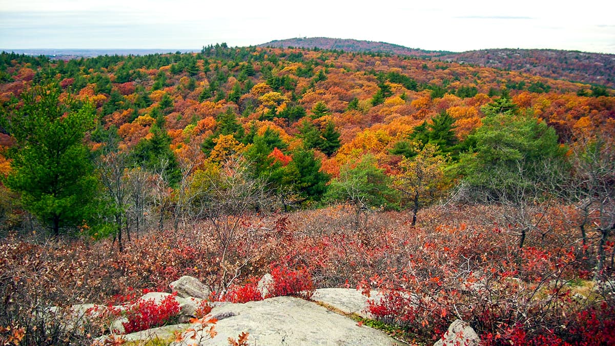 Greater Boston Hikes