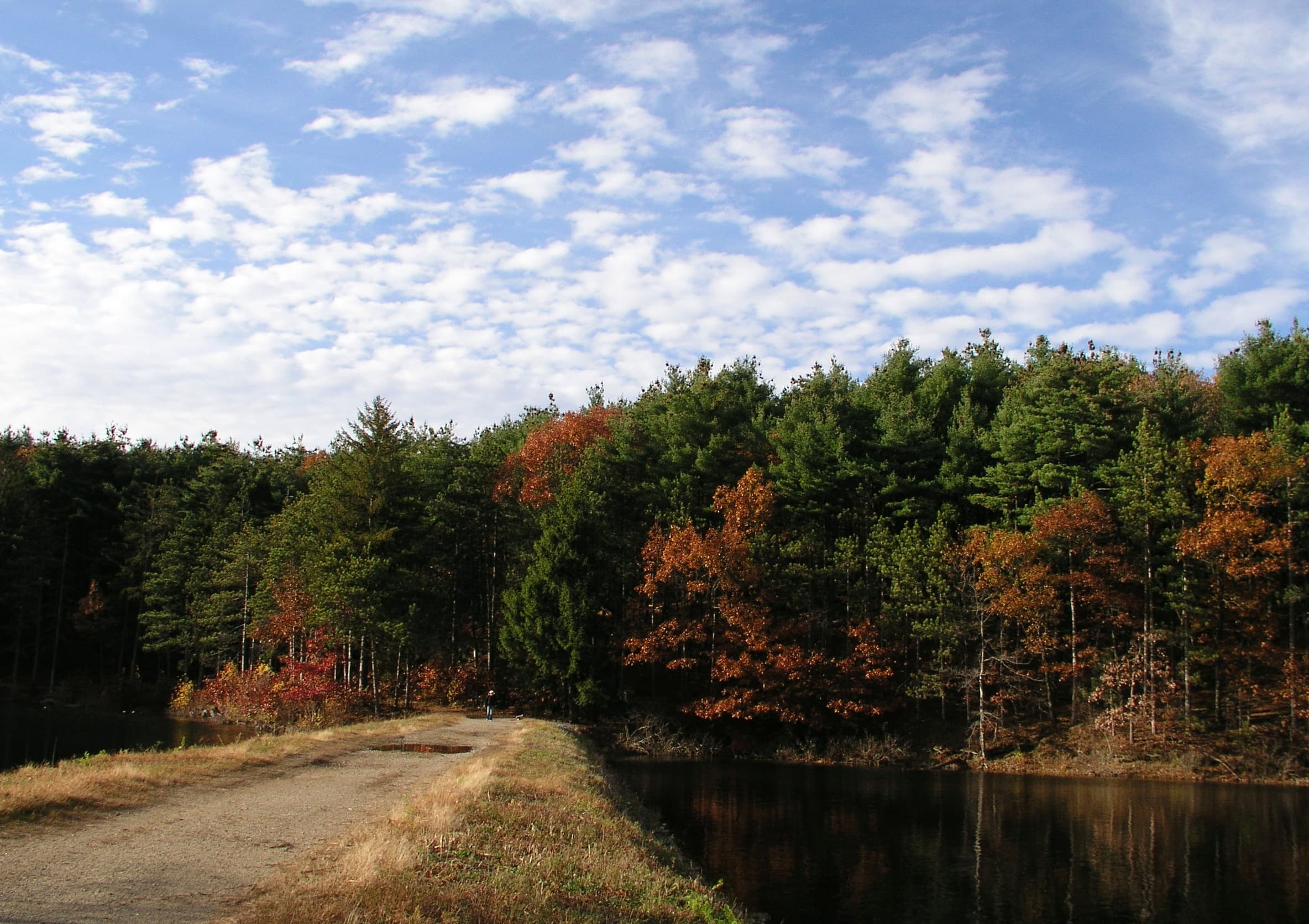 Middlesex Fells Reservation Hikes