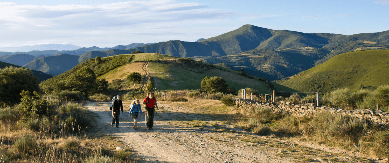 Camino Francés