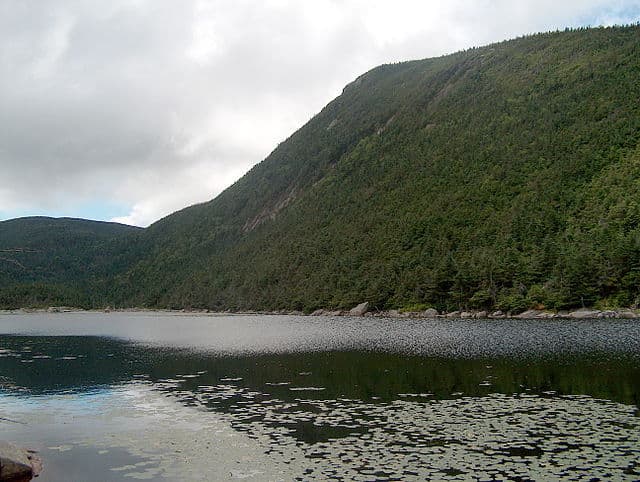 North Kinsman