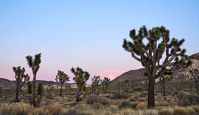 West Coast National Parks — stop photo 6