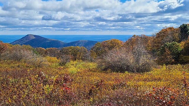 Shenandoah National Park