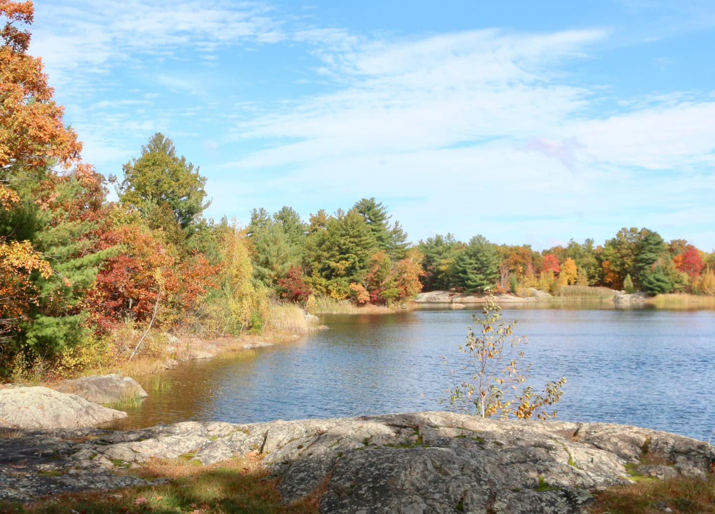 Greater Boston Hikes — stop photo 1