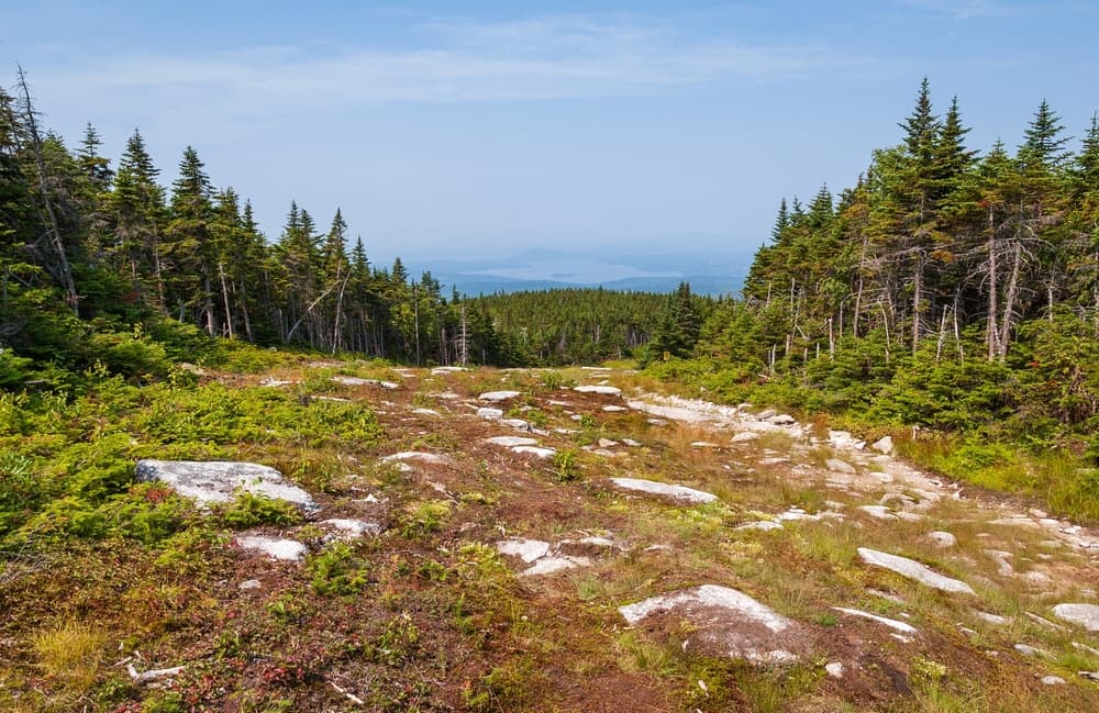 Saddleback Mountain