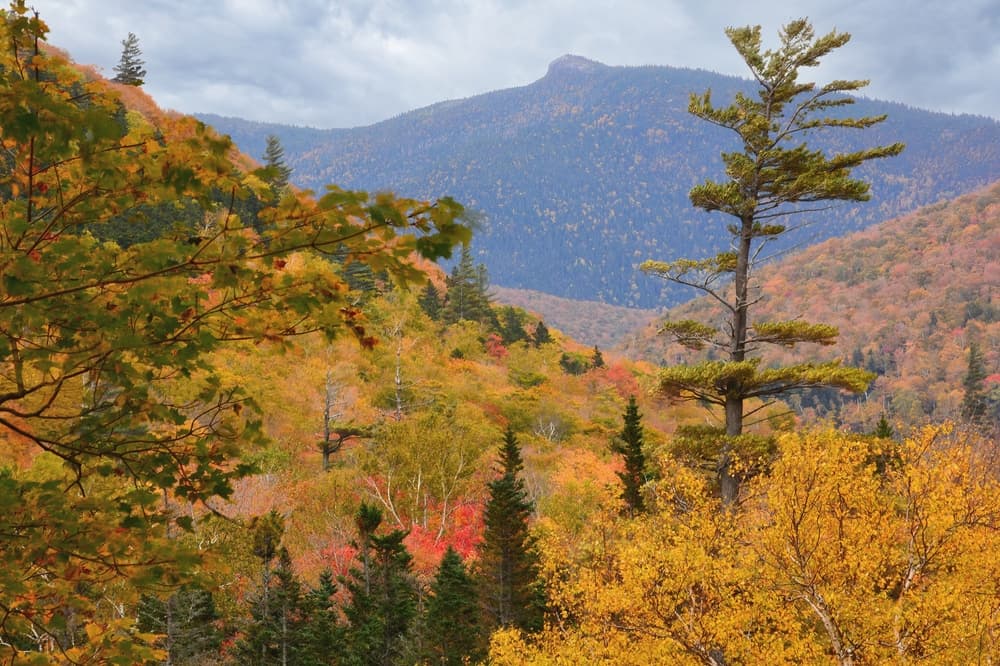 Mount Crawford