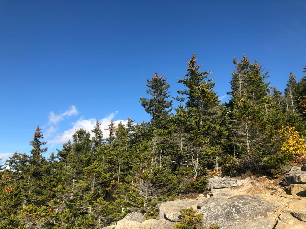 NH 52 with a View — stop photo 17