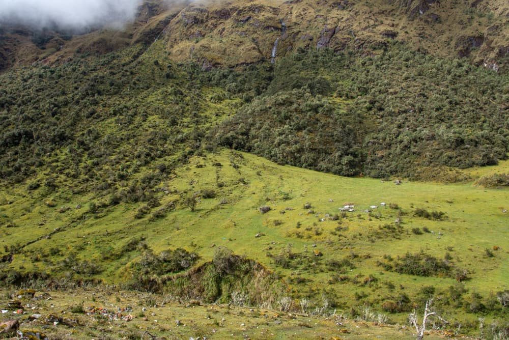 Salkantay Trek to Machu Picchu — stop photo 4