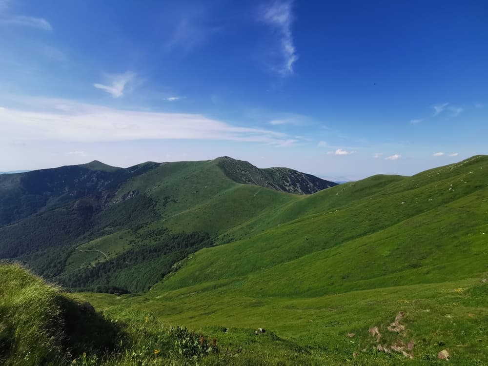 Midžor