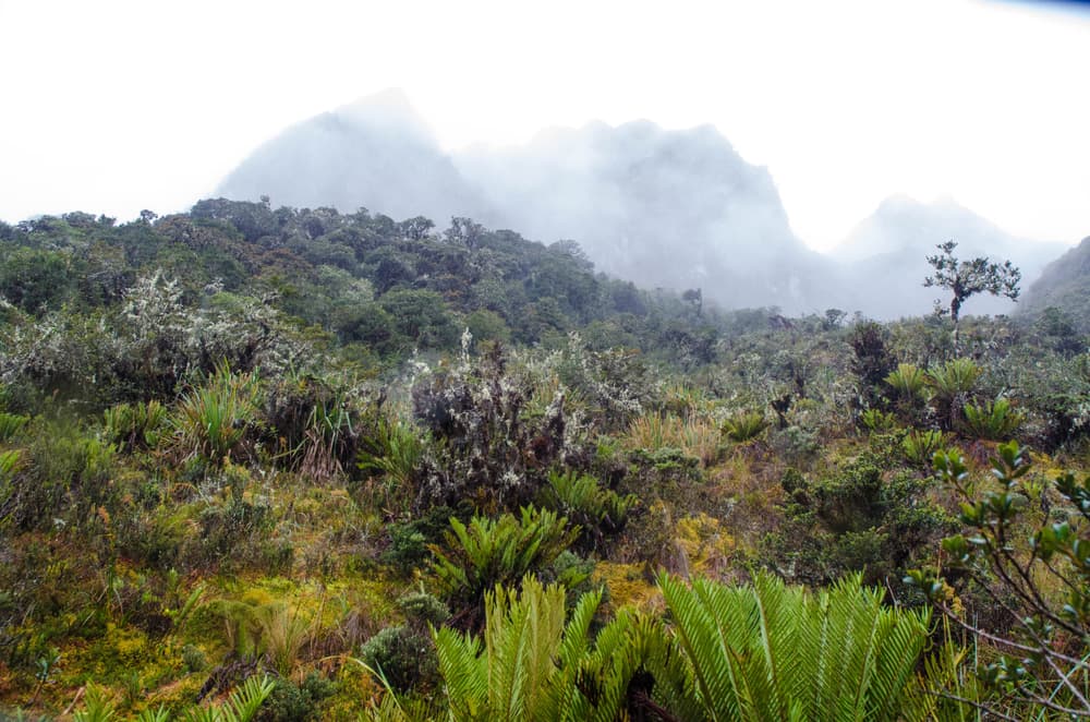 Abra de Warmiwañusca (Dead Woman’s Pass)
