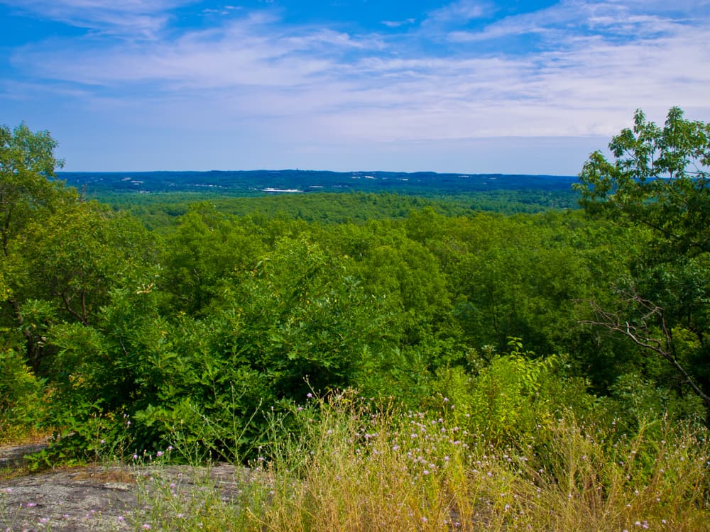 Topsfield