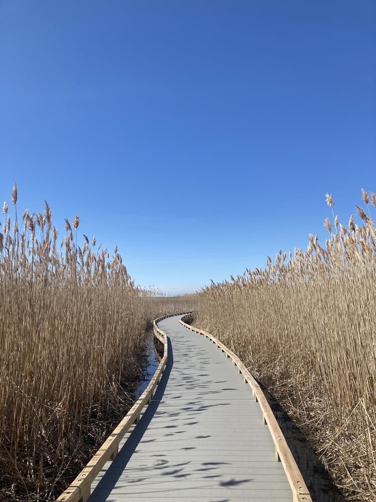Newburyport