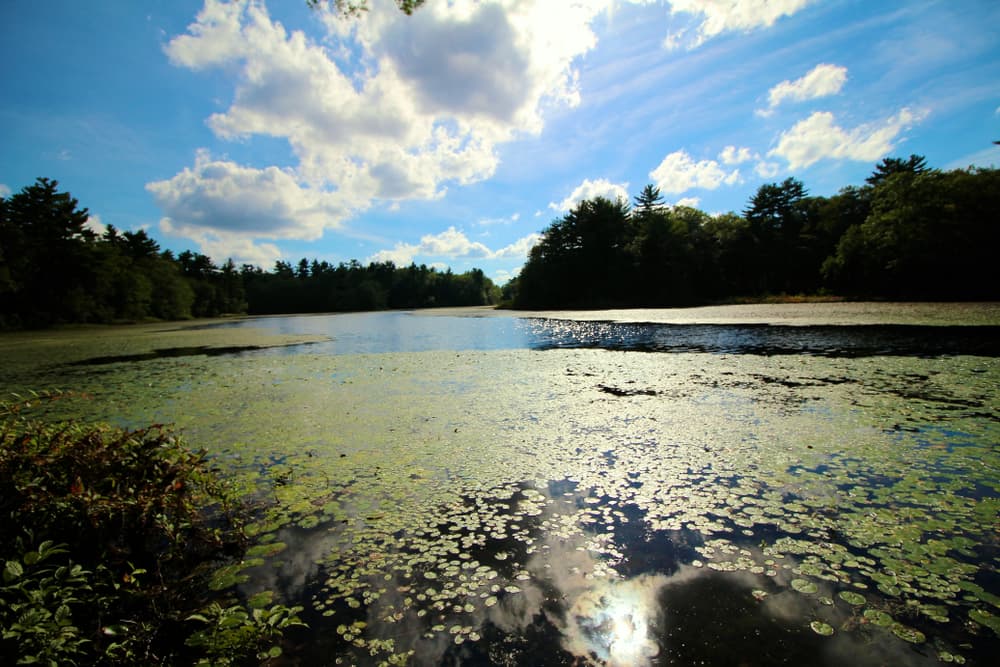 West Bridgewater