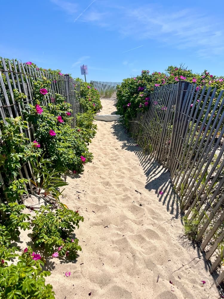 Bay Circuit Trail & Greenway — stop photo 22