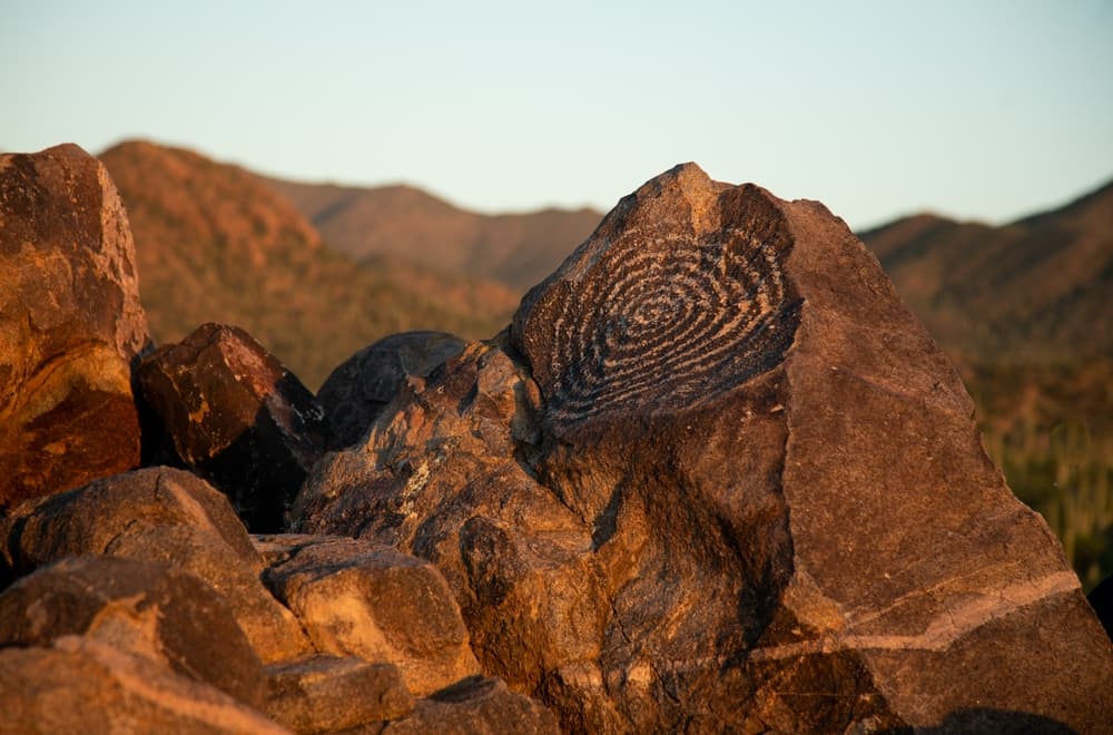 Saguaro National Park