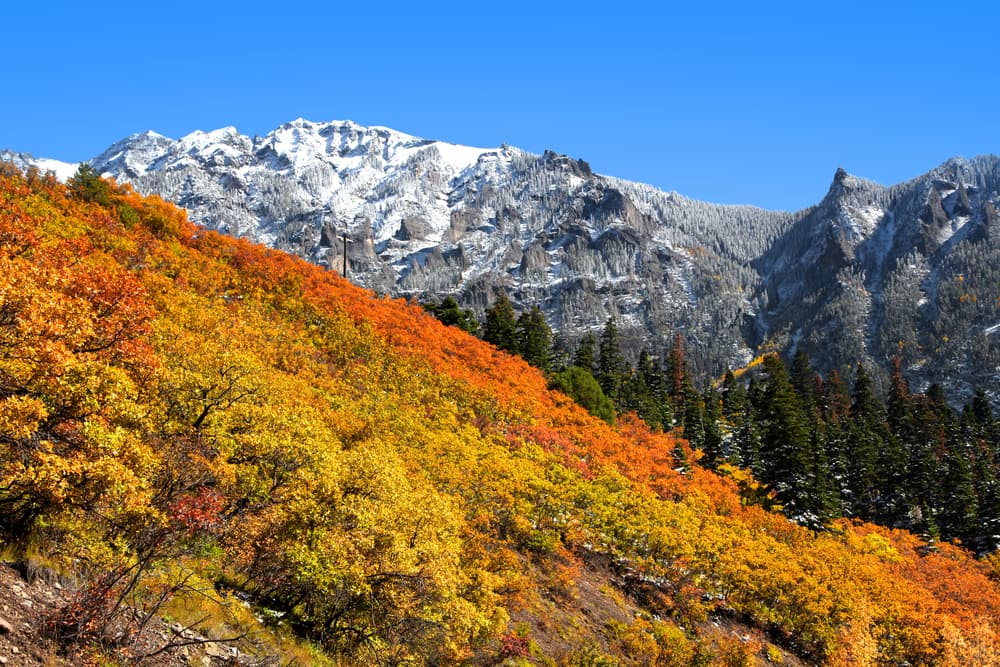 Colorado 14ers — stop photo 35