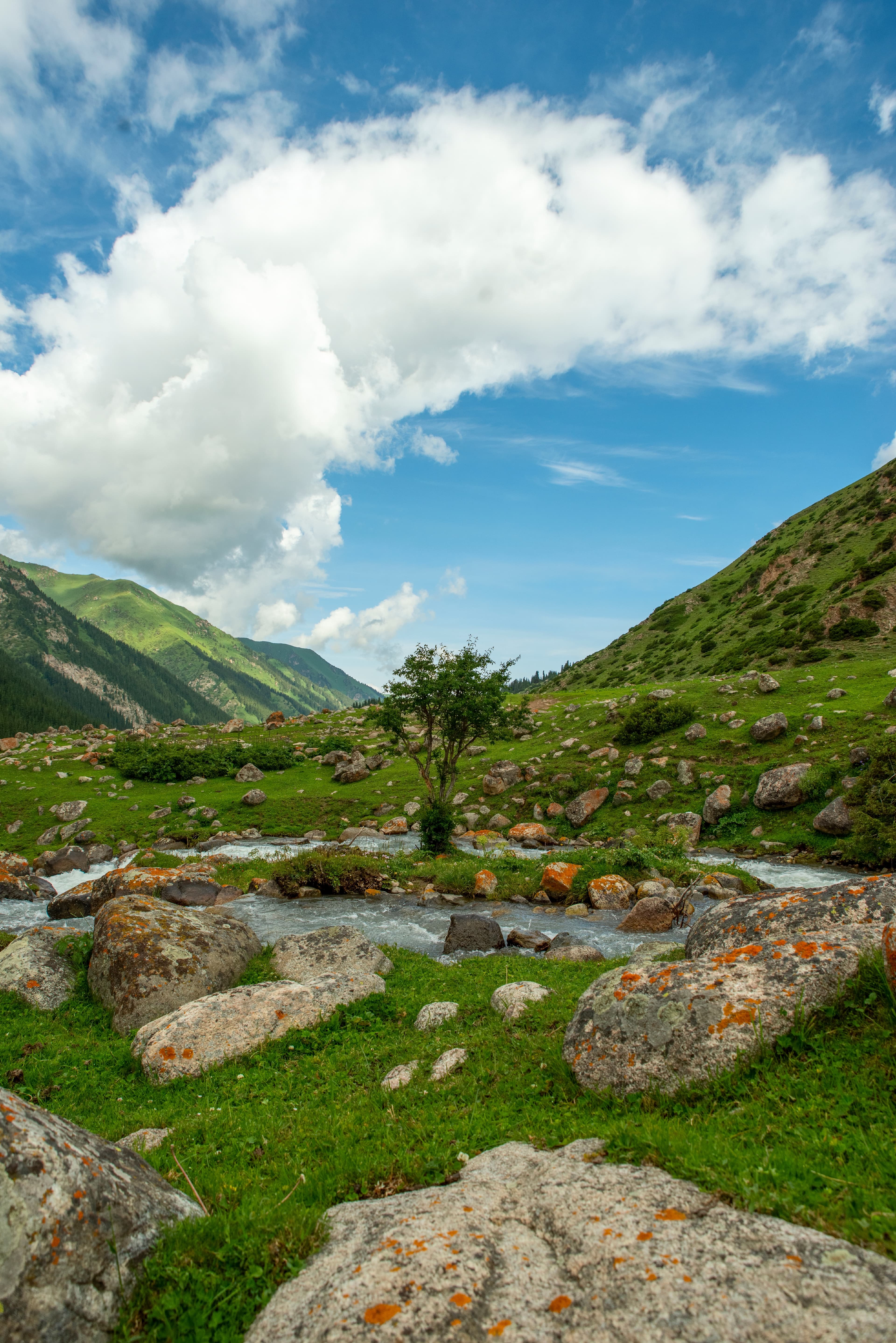 Via Alta Vallemaggia — stop photo 13