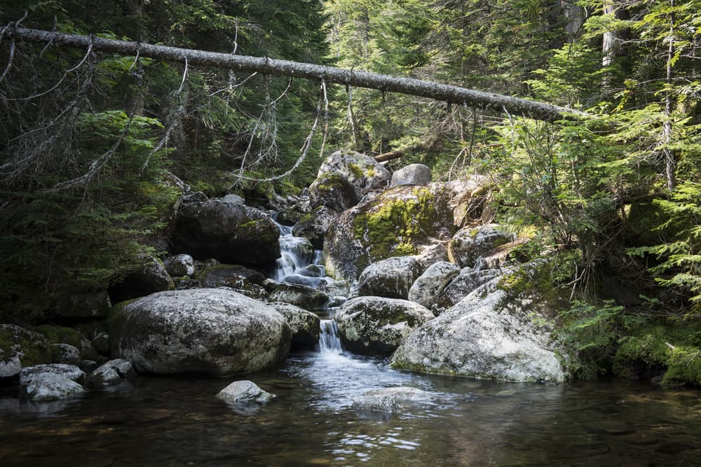 Adirondack 46ers — stop photo 7