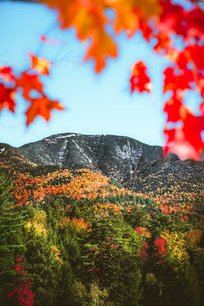 Adirondack 46ers — stop photo 10