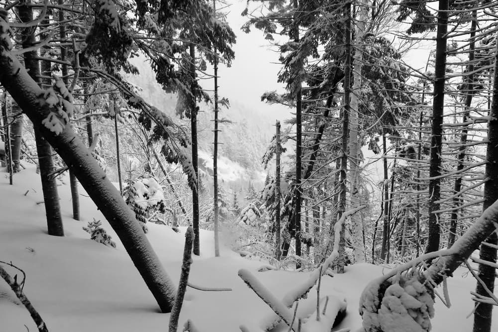 Adirondack 46ers — stop photo 33
