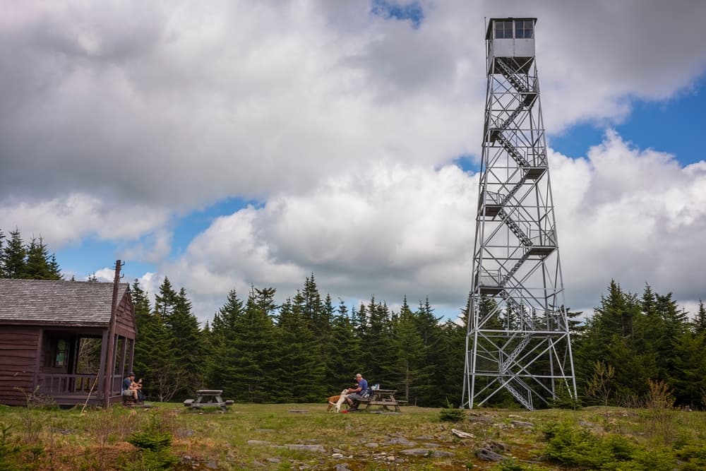 NY Fire Tower Challenge — stop photo 21