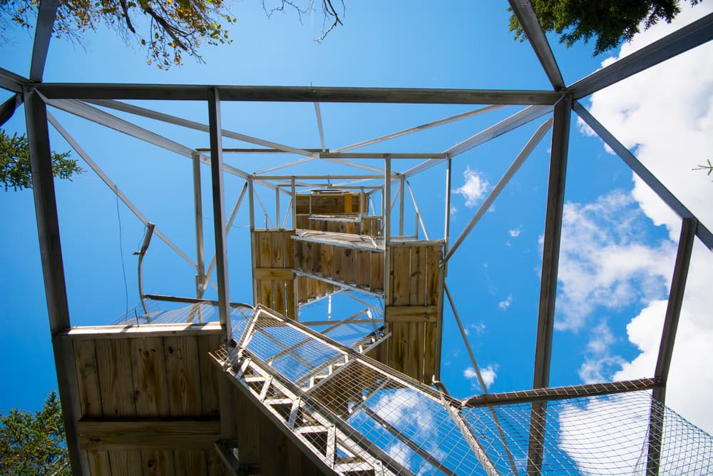 NY Fire Tower Challenge — stop photo 14
