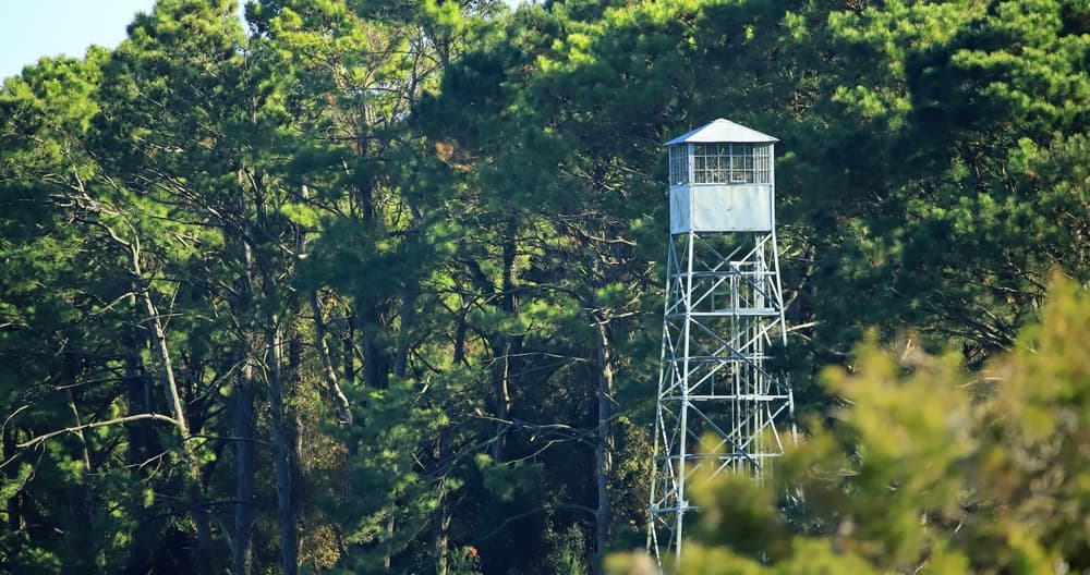 NY Fire Tower Challenge — stop photo 13