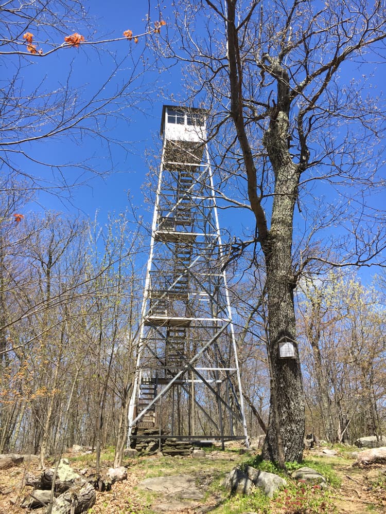 NY Fire Tower Challenge — stop photo 6