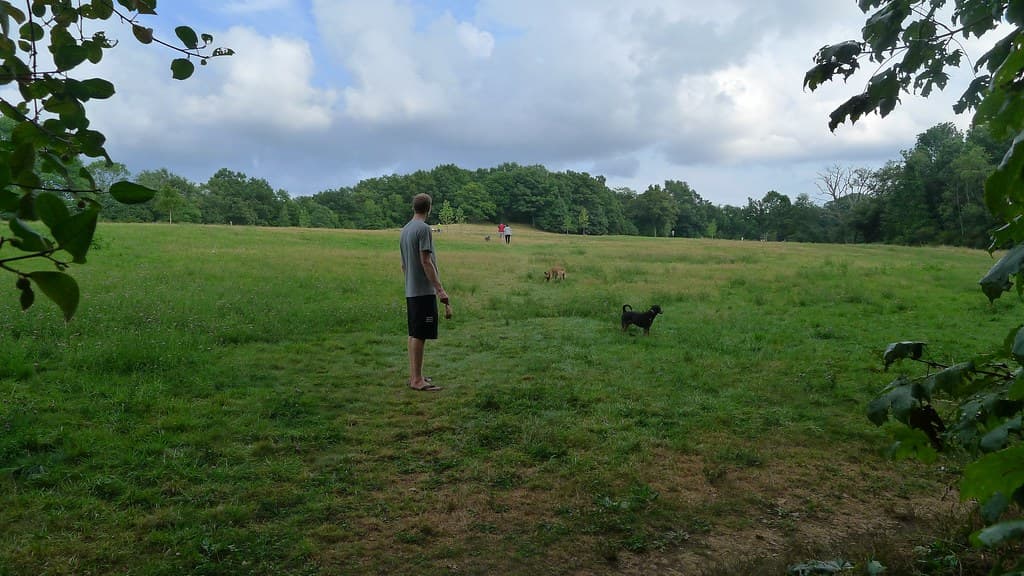 Sheepfold Dog Area & Trails