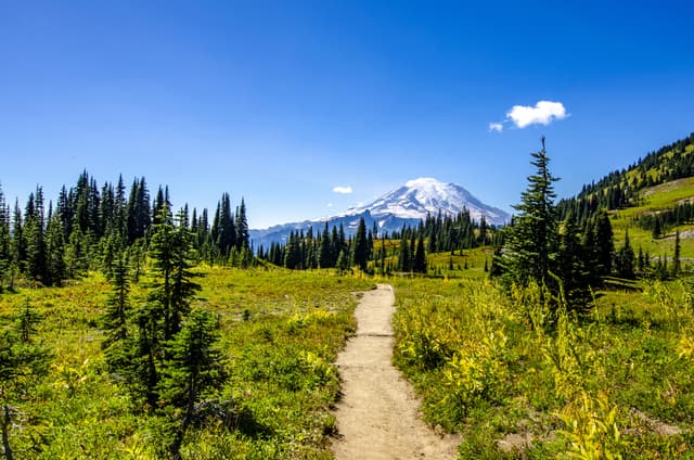 Long Trails