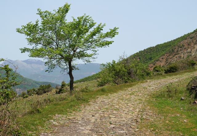 Albania