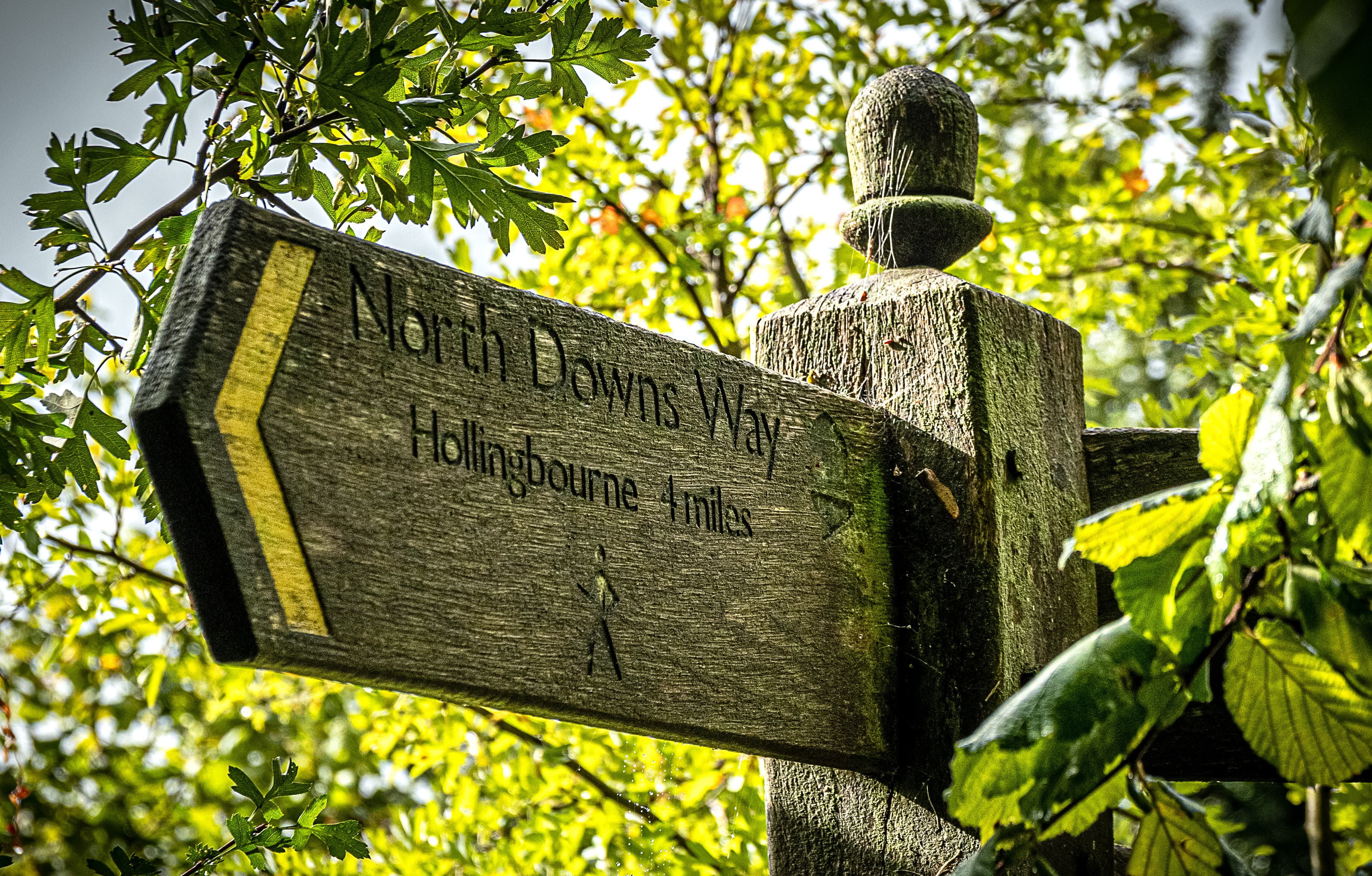 Pilgrims’ Way to Canterbury: Start in Winchester or London?