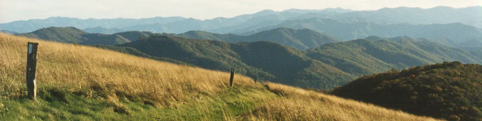 A white-blazed post beside golden grass, with Appalachian ridges stretching beyond Max Patch.